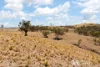 1453 Windeyer Road, Mudgee, NSW 2850-Image