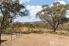1453 Windeyer Road, Mudgee, NSW 2850-Image