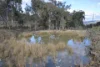 1453 Windeyer Road, Mudgee, NSW 2850-Image
