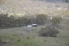 1453 Windeyer Road, Mudgee, NSW 2850-Image