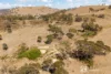 1453 Windeyer Road, Mudgee, NSW 2850-Image