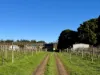 14591 Vasse Highway (Eastbrook), Pemberton, WA 6260-Image