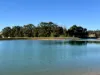 14591 Vasse Highway (Eastbrook), Pemberton, WA 6260-Image
