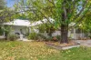 146 Morgan Road, Barmera, SA 5345-Image