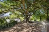 146 Omagh Road, Kyogle, NSW 2474-Image