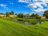 1465 Elderslie Road, Mitchells Flat, NSW 2330-Image