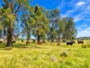 1465 Elderslie Road, Mitchells Flat, NSW 2330-Image