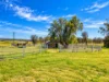 1465 Elderslie Road, Mitchells Flat, NSW 2330-Image