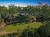147 Andrews Road, Laguna, NSW 2325
