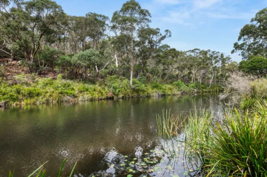 147 Webbs Road, Braidwood, NSW 2622
