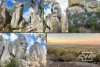 1478 Silent Grove Road, Torrington, NSW 2371