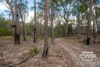 1478 Silent Grove Road, Torrington, NSW 2371-Image