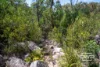 1478 Silent Grove Road, Torrington, NSW 2371-Image