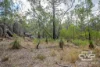 1478 Silent Grove Road, Torrington, NSW 2371-Image