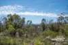 1478 Silent Grove Road, Torrington, NSW 2371-Image