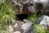 1478 Silent Grove Road, Torrington, NSW 2371-Image