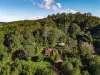 148 Arthur Road, Corndale, NSW 2480-Image