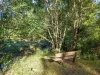 148 Arthur Road, Corndale, NSW 2480-Image