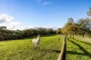 148 Boothill Road, Kangarilla, SA 5157-Image