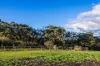 148 Boothill Road, Kangarilla, SA 5157-Image