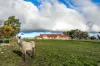 148 Boothill Road, Kangarilla, SA 5157-Image