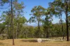 148 Schneider Road, Allandale, Qld 4310-Image