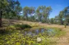 148 Schneider Road, Allandale, Qld 4310-Image