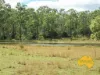149 BURKES ROAD, Booie, Qld 4610-Image