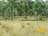 149 BURKES ROAD, Booie, Qld 4610-Image