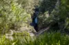 149 Johnsens Road, Dorrigo NSW 2453-Image