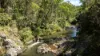149 Johnsens Road, Dorrigo NSW 2453-Image