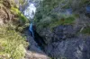 149 Johnsens Road, Dorrigo NSW 2453-Image