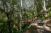 149 Johnsens Road, Dorrigo NSW 2453-Image