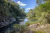 149 Johnsens Road, Dorrigo NSW 2453-Image