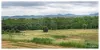 149 Salmon Road, Garnant QLD 4702-Image