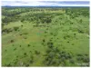 149 Salmon Road, Garnant QLD 4702-Image