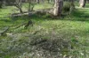 15 Moran Court, Graytown, Vic 3608-Image