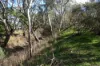 15 Moran Court, Graytown, Vic 3608-Image