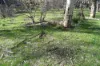 15 Moran Court, Graytown, Vic 3608-Image