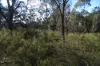 15 Moran Court, Graytown, Vic 3608-Image