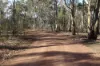 15 Moran Court, Graytown, Vic 3608-Image