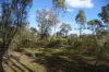 15 Moran Court, Graytown, Vic 3608-Image
