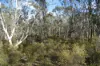 15 Moran Court, Graytown, Vic 3608-Image