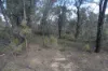 15 Moran Court, Graytown, Vic 3608-Image