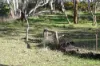 15 Moran Court, Graytown, Vic 3608-Image
