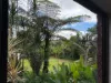 15 Old Millaa Road, Tarzali, Qld 4885-Image