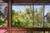 15 Old Millaa Road, Tarzali, Qld 4885-Image