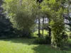 15 Old Millaa Road, Tarzali, Qld 4885-Image