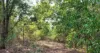 150 Moollock Road, Dundee Beach, NT 0840-Image