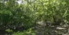 150 Moollock Road, Dundee Beach, NT 0840-Image